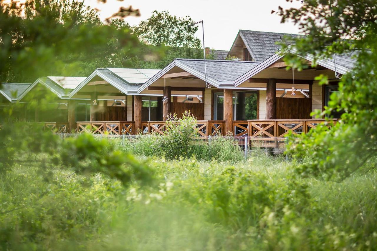 Blizej Natury Holiday home *